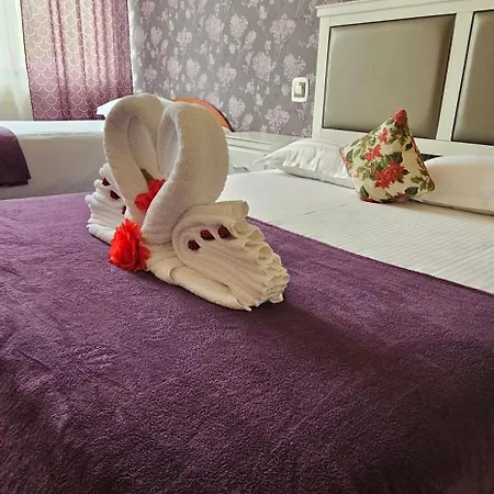 Olimp 3* Cluj-Napoca